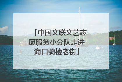中国文联文艺志愿服务小分队走进海口骑楼老街